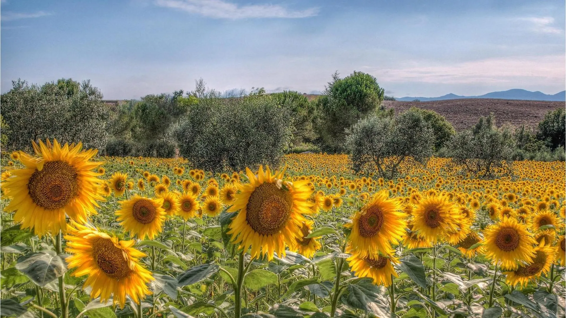 Holiday home Nice Home In S,Giuliano Terme Pi With Wifi Italy